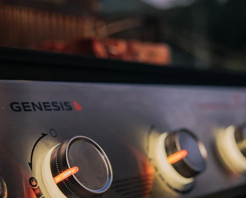 Weber | Genesis EPX-435