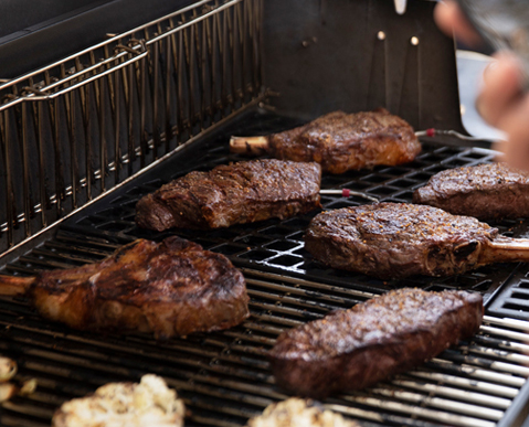 Weber | Genesis EPX-435