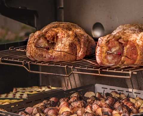 Weber | Genesis EPX-435