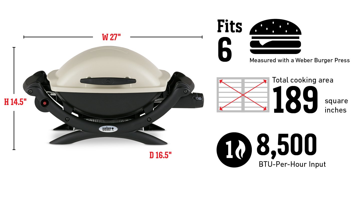 Weber | Q 1000 Black