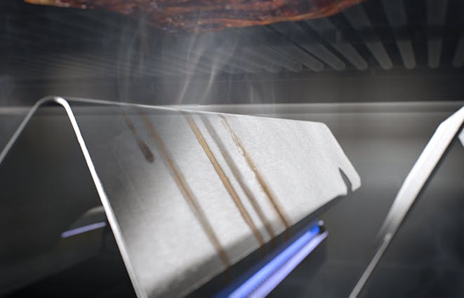 Weber | Genesis E-315